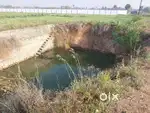 Agriculture land 175 cent