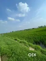 खेत खरीदने के लिए संपर्क करें फतेहगंज पूर्वी, बरेली (उत्तर प्रदेश)