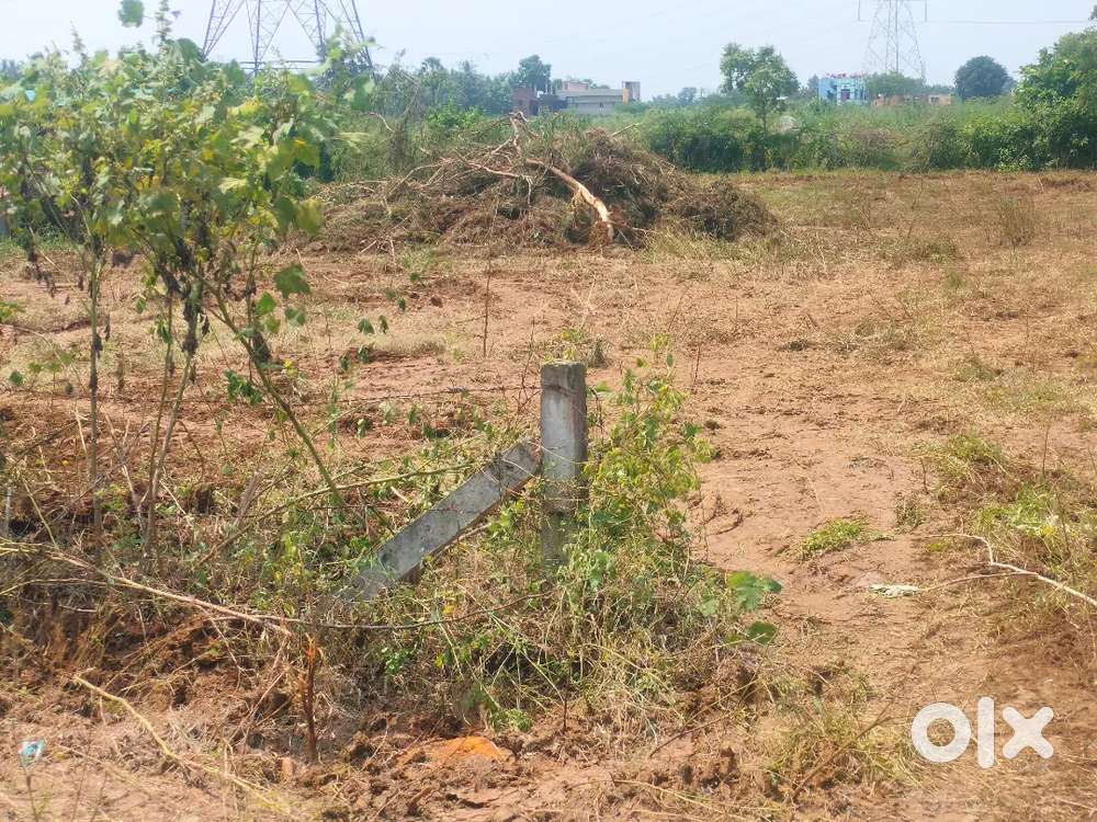 Very near to city limits(Punyakshetram)