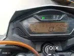 Honda Hornet