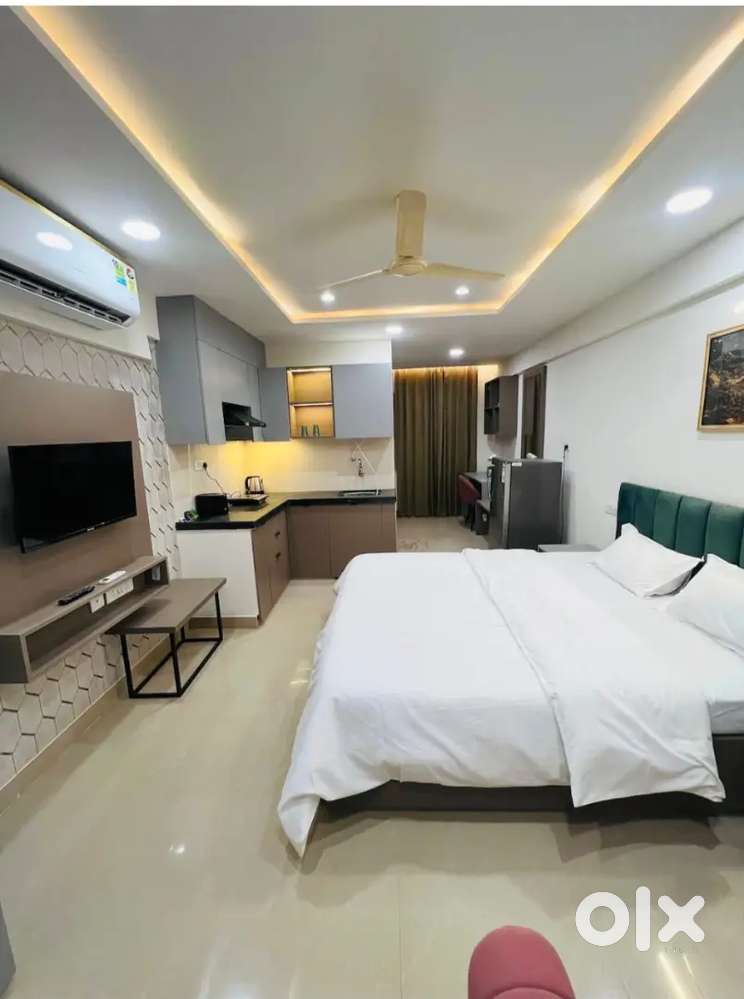 Fully furnished Studio apartment