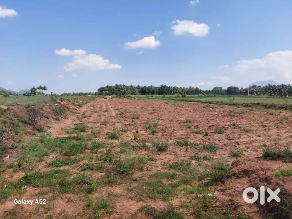AGRI LAND FOR SALE/VELLARUKKAMPALAYAM/NEAR THONDAMUTHUR /COIMBATORE