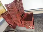 Fruit  box