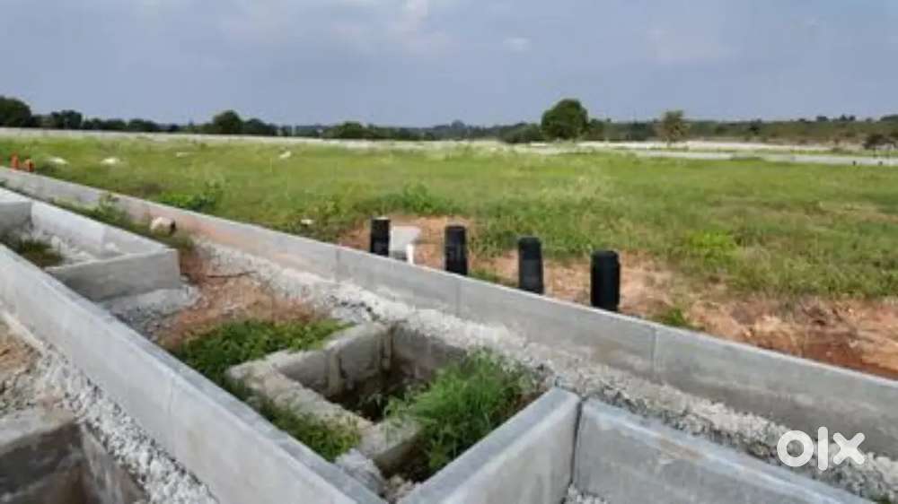 Commercial shop Plot in Naugaon
