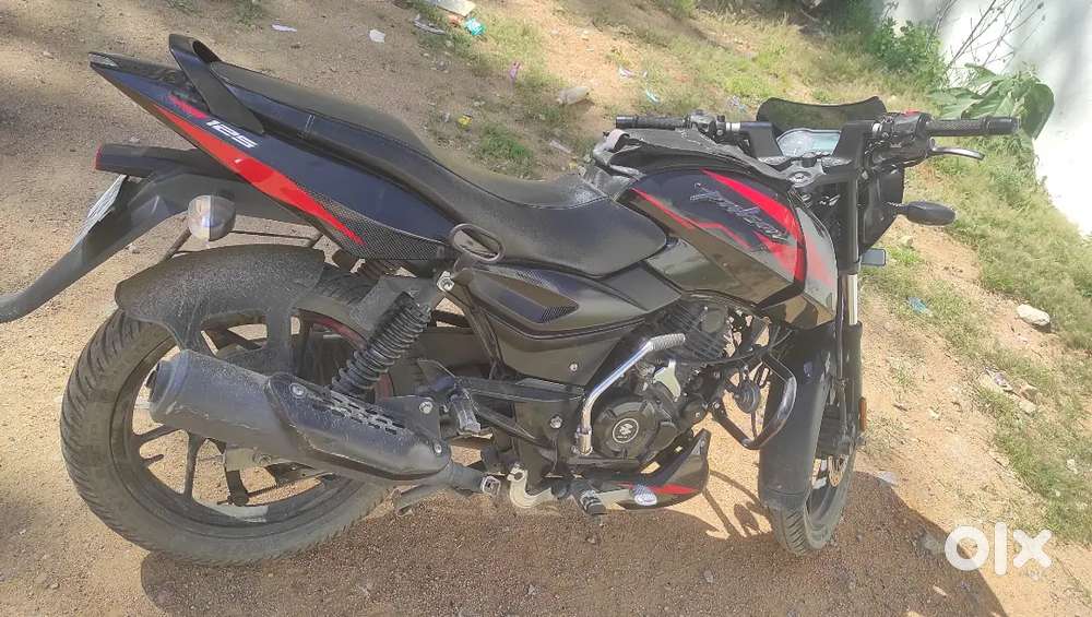 _PULSAR 125CC_ Neat Looking & Good Condition Bike