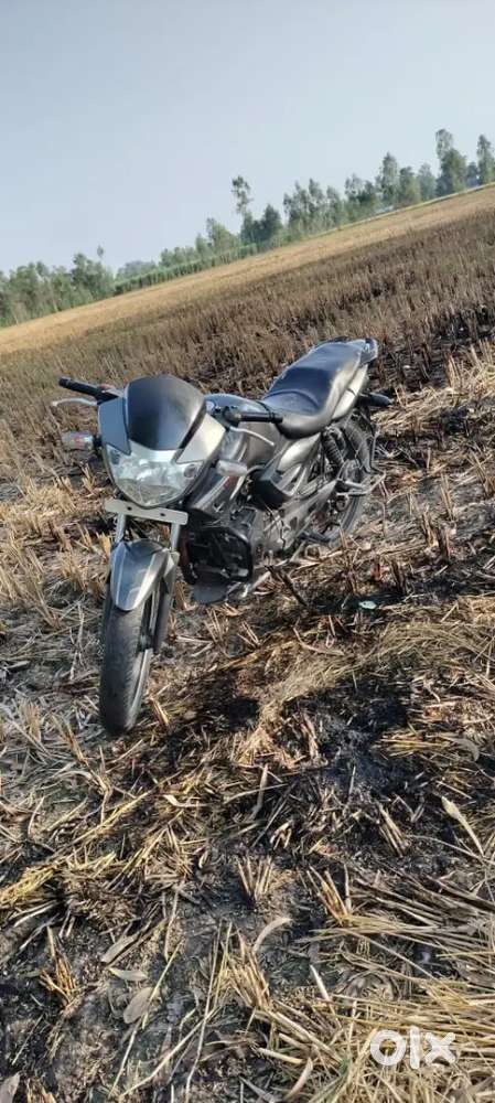 Apache RTR  160 double disc
