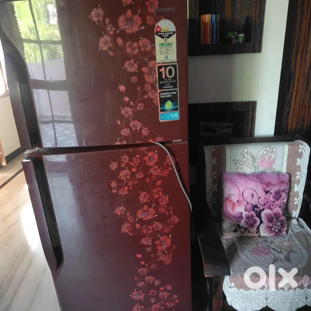 Samsulng double door fridge