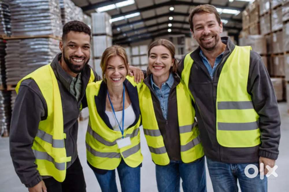 Looking for freshers and experience candidates