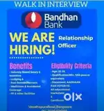 Bandhan Bank Relationship Officers