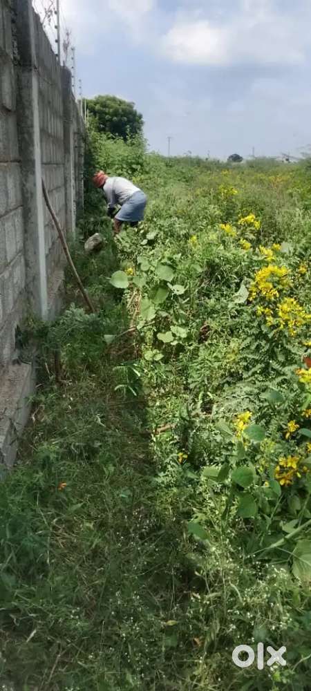 North facing plot for sale near  VidyaNagar colony