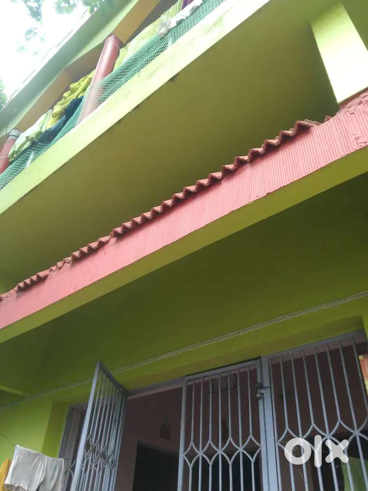 Urgently Need 2 female roommates (4667÷2) 2333 per head