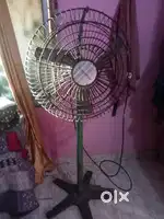 Big fan for wedding