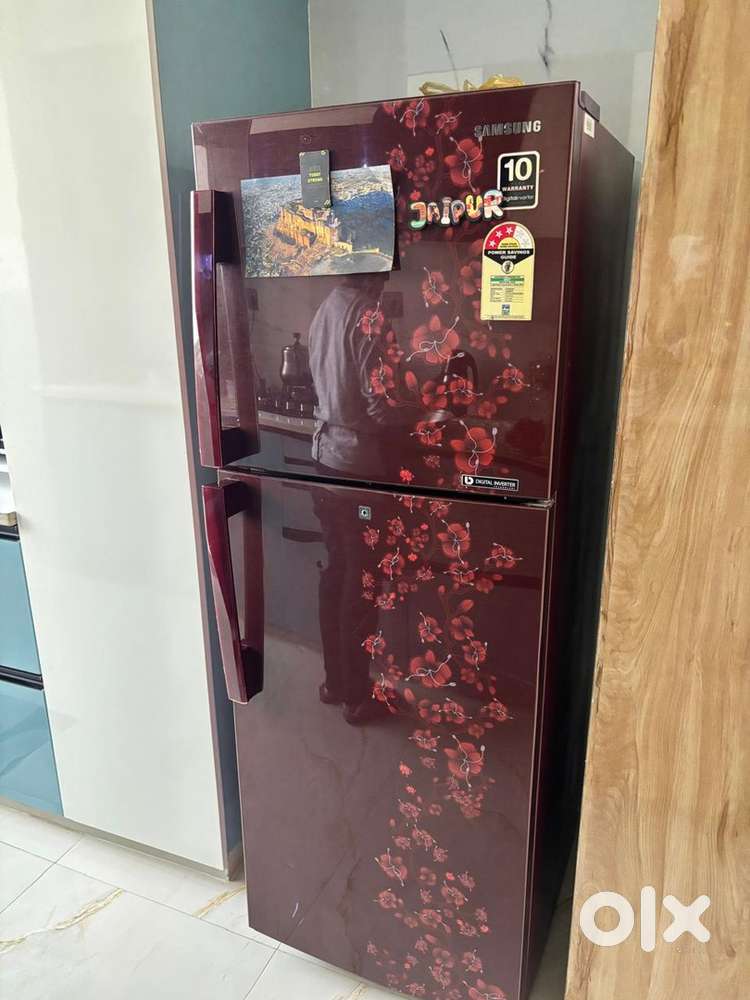 Samsung Fridge (231 L)
