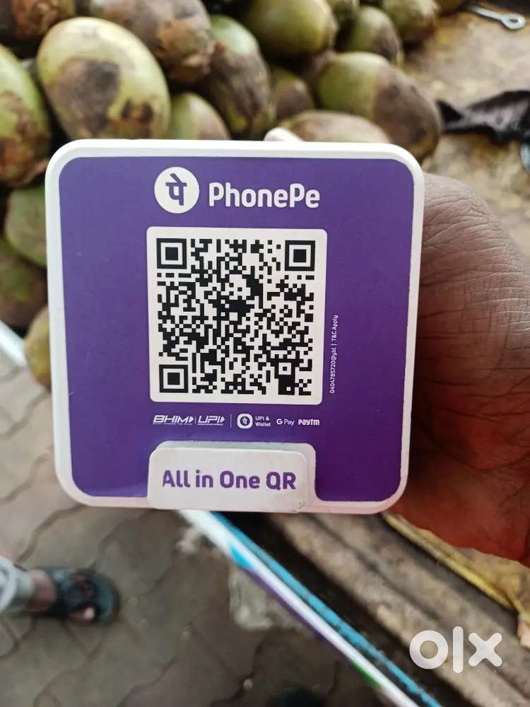 PHONEPE PVT LTD