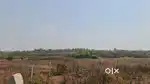4150SQMT FULL ORCHARD PLOT AVAILABLE FOR SALE IN DHARGAL