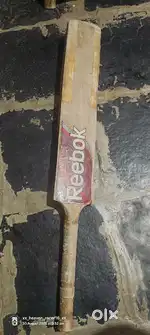 Cricket bat