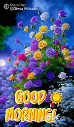 Nothing  xxxxx