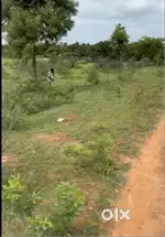 4 Acre General Property for Sale – Near Gauribidanur