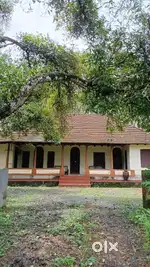 2500sqft old taravadu in 1.25acre land rent at kakkanad