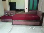 Two seater sofa and sofa cum bed with mattress and cushions