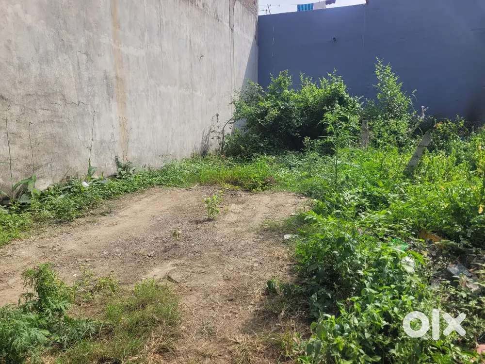 PLOT FOR SALE