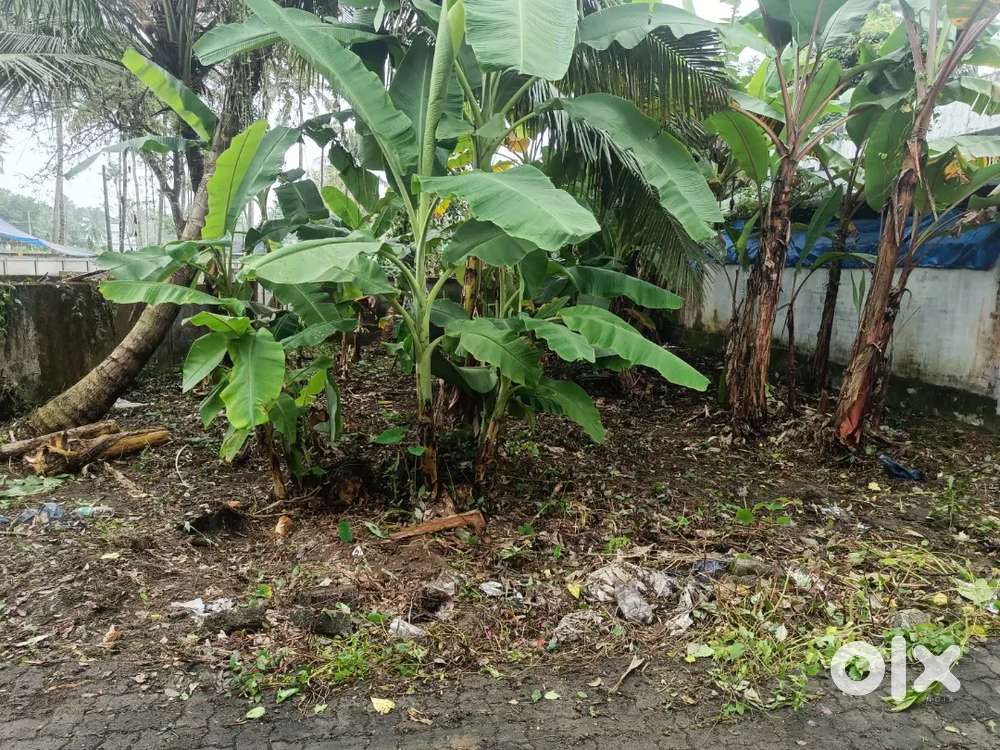 3.4 Cent house plot for sale, Kaitharam ,Ernakulam