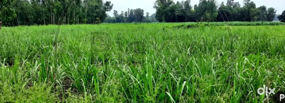 10.5 bhega jameen bikau hai (7.5 lakh per bhega )