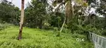 ചേർത്തല മുനിസിപ്പാലിറ്റി 8 ആം വാർഡിൽ  സ്ഥലം വിൽപനക്ക്