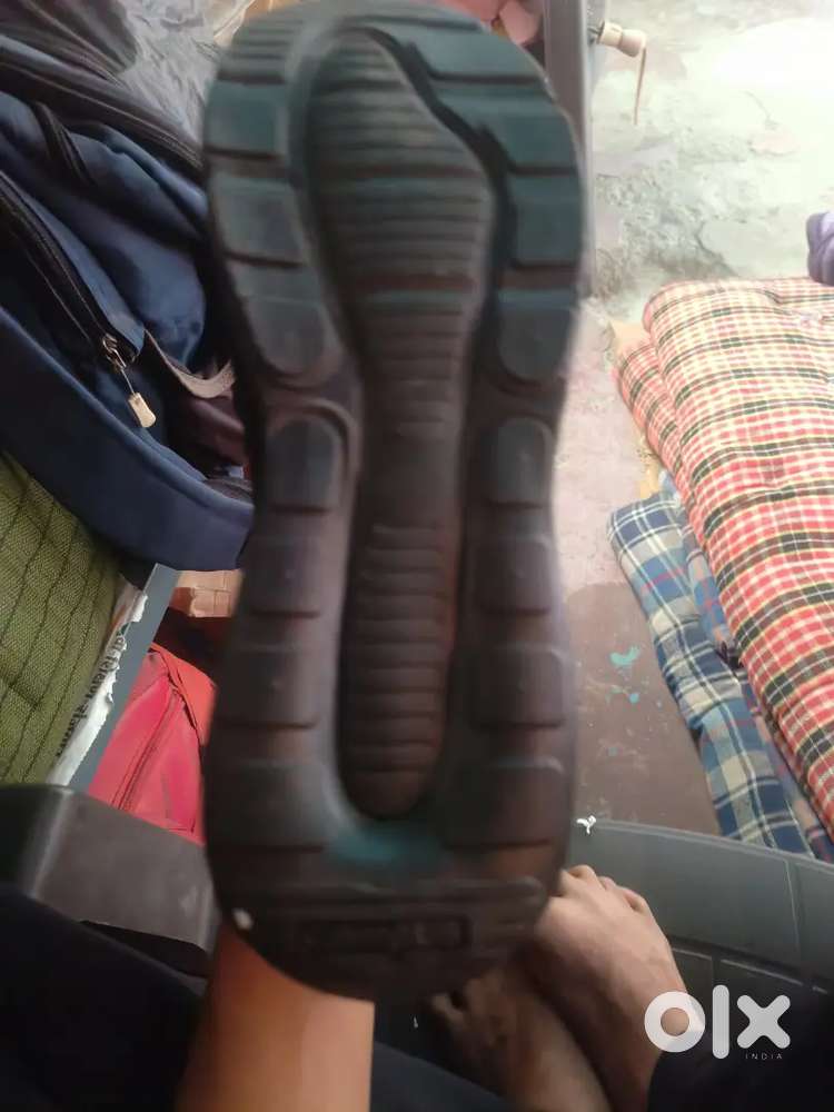 Campus shoes  new hay