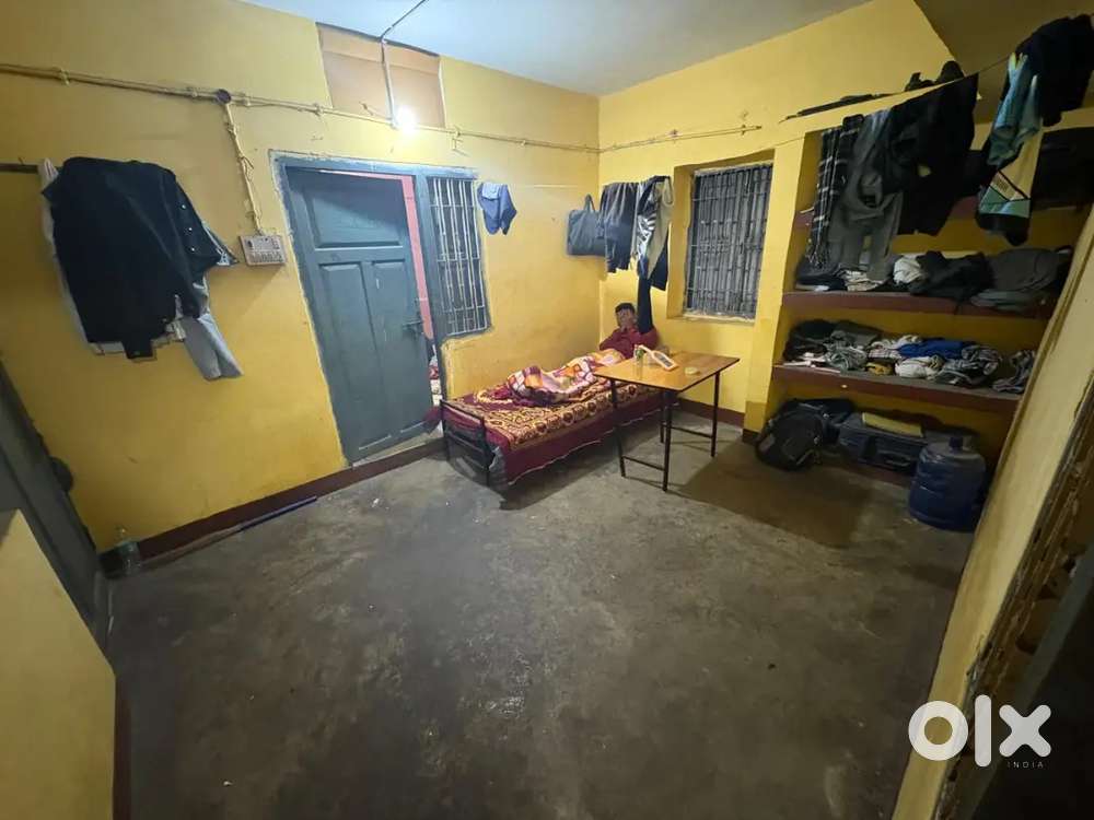 Need Boy roommate urgent