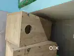 Breeding box