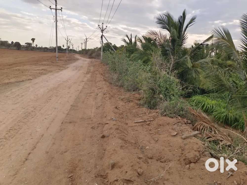 சங்கராண்டாம்பாளையம்/ தாராபுரம்/ குறைந்த விலை முதலீடுகள்