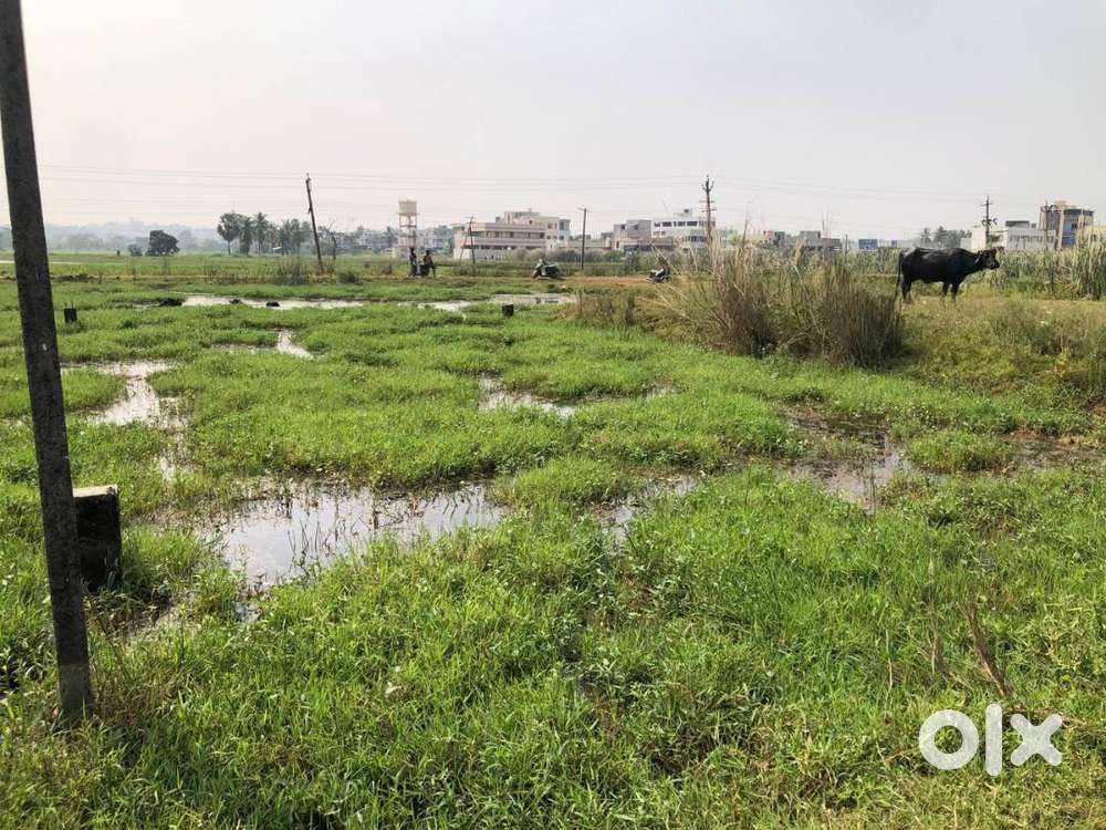 Plot for sale 209 square yads