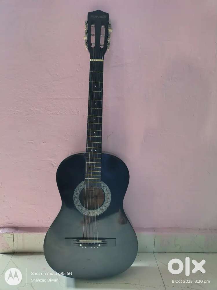 Acoustic guitar