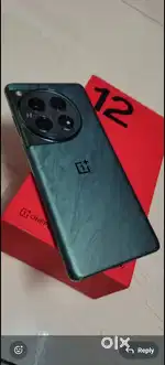 12 ( 12gb ram, 256gb)