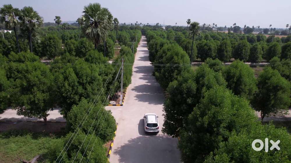 NEW VENTURE OFFER  PLOTS AVAILABLE FOR SALE.