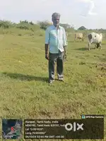 Agriculture Land Near Minnal Bungalow Arakkonam