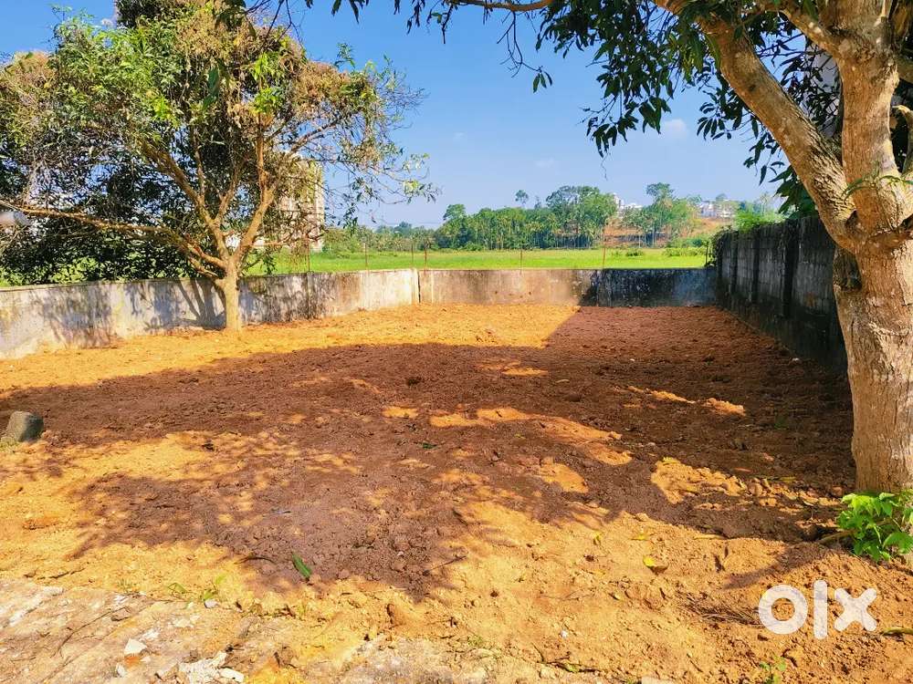 4.50 cnt plot Kakkanad nr 7.75 pr cnt Negotiable