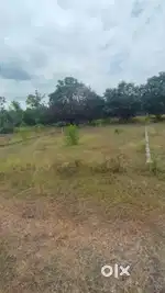 Plot for sale