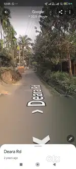 High Developed Freehold 4.50 Bigha/ 90 Kattha Land with several trees