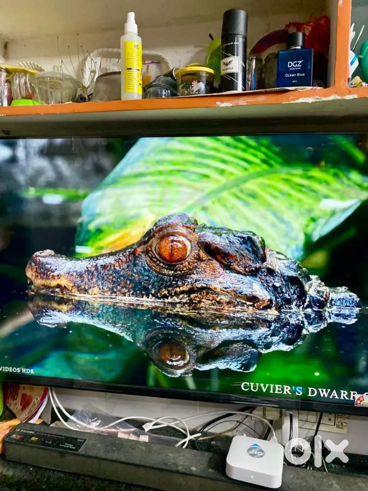 Sony Bravia s22m2 4k ultra hd 50inch oct2 bill