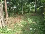 5/10  cent two plots just 200 mtr near to kovoor iringadanpalli bypass