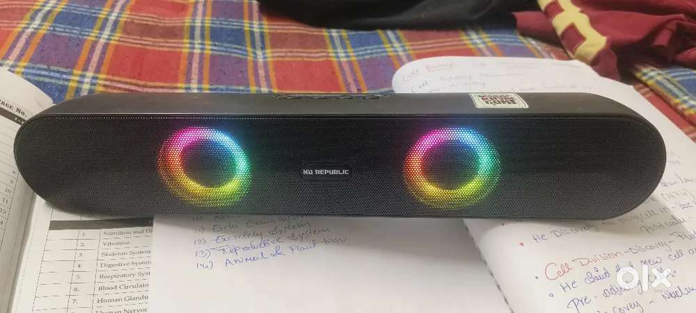 Speaker with loude sound