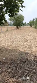 Kalukheda Purwa Highway main road plot