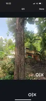 Independent house