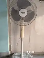 Eveready stand Fan