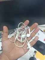Apple Type C Earphones