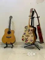 Kasper Skin Print Guitar Brand New