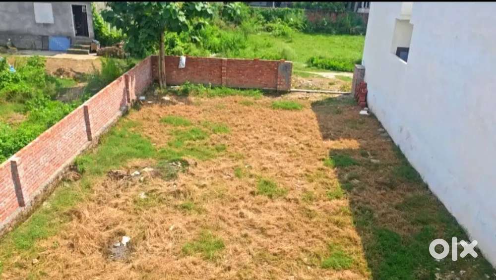 280 GAJJ LAND FOR SALE . NEAR PUNJABI UNIVERSITY