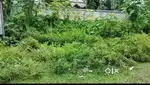 I want for sale my Land 03 Decimals Square plot